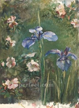  Stre Pintura - Rosas silvestres y lirios flor John LaFarge